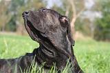 FILA BRASILEIRO 092